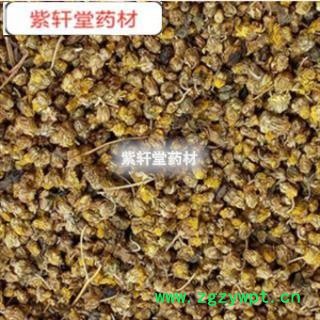 野菊花 野菊花新货上市好统货 产地 湖南省图2