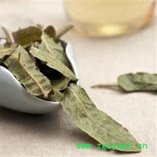 菩提树花 01 菩提树花 统 产地 湖南省岳阳市湘阴县图2