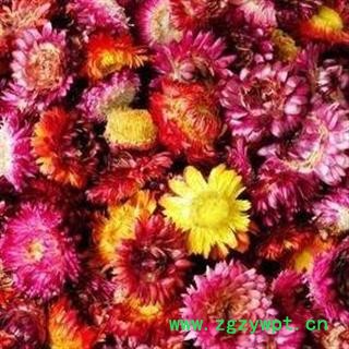 菊花 七彩菊 选装货 代加工超细粉 产地 河南省安阳市安阳县图3