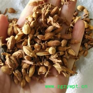 佛手花 正品保证质量7天无理由退货退款 安品堂图2