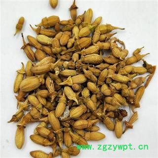 佛手花 正品保证质量7天无理由退货退款 安品堂图3