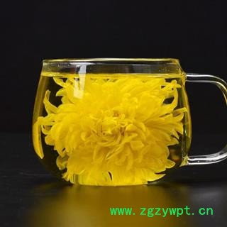 菊花 金丝皇菊 正品保证质量无理由退货退款图3