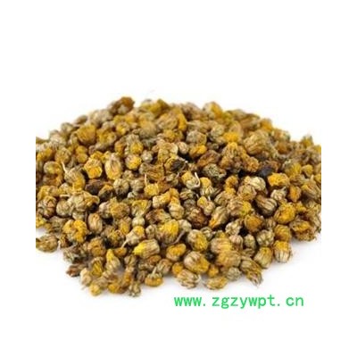 野菊花 野菊花统货 产地 安徽省 产地直销 重在质量