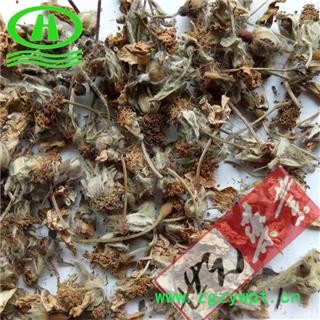 世元药业 蔷薇花 正品 白残花 多花蔷薇 蔷蘼刺玫图2