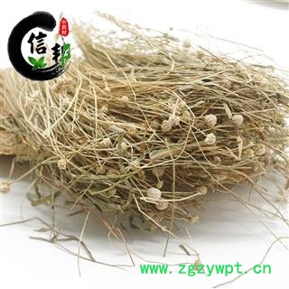 谷精草谷精珠珍珠草流星草货干无杂质产地湖南专注品质，诚信信邦！图4