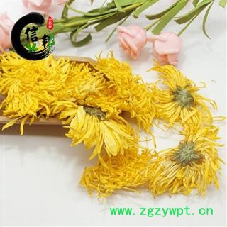 黄山金丝皇菊产地直销选花大黄菊菊花茶一朵一杯专注品质，诚信信邦！图3