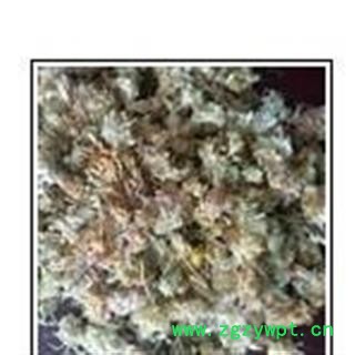 菊花 祁菊花无硫统货 产地 山东省济南市市辖区图2