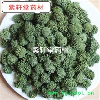 三七花 两年生三七花无柄小选货 产地 云南省