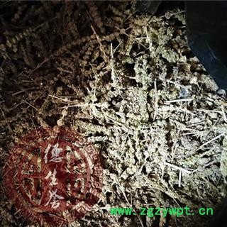 荆芥穗 荆芥穗中选货 无硫新货 青色过半 带少部分籽 产地 河北省保定市安国市图2