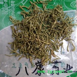 新货 金银花 01统图2