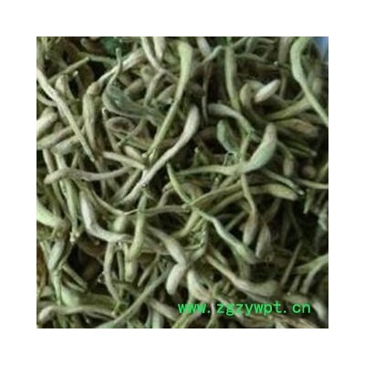 新货 金银花 01统