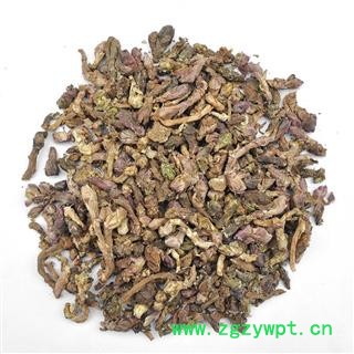 【满298元包邮】款冬花  冬花 新货上市 选货不掺花杆颜色好   产地甘肃  500克1袋图2