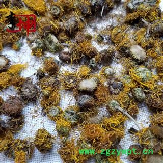 【99包邮】旋覆花 无硫统货 旋复花 枝干少【良心经营 品种齐全 】图3