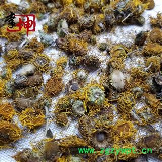 【99包邮】旋覆花 无硫统货 旋复花 枝干少【良心经营 品种齐全 】图4