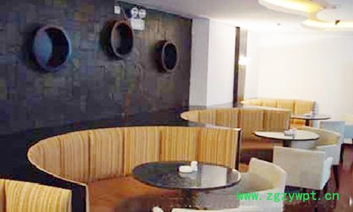 新古典高背单人椅-酒店沙发-咖啡厅上沙发-不锈钢按摩床图8