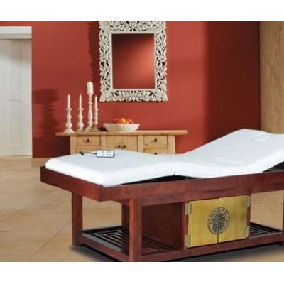 广州豪匠美业家具厂  专业定做智能电动美容床 电动按摩床 SPA美容床 美容按摩器材