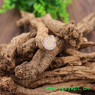 野生党参特大条1.0 野生党参批发产地 甘肃省陇南市宕昌县图2