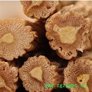 党参 特大条 产地 甘肃省武威市民勤县 邓氏图4