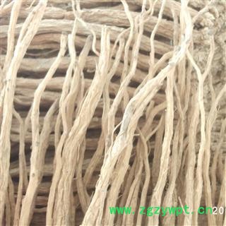 党参 中条 产地 甘肃省  德誉堂药业批发零售各种中药材图3