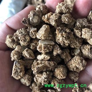 党参 党参头 产地 甘肃省 买好药找娟子娟子图3