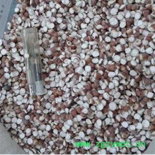 芡实 凉拌开大粒子 产地 广东省图3