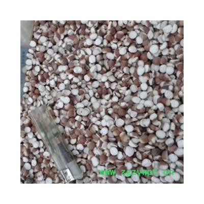 芡实 凉拌开大粒子 产地 广东省