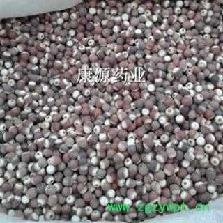 芡实 大统 产地 广东省图3