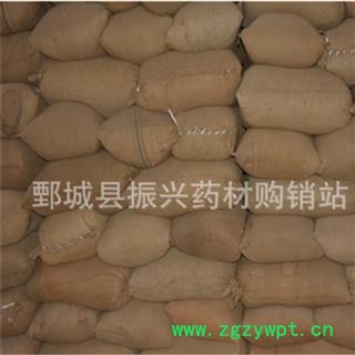 党参 党参小条 产地 甘肃省 振兴中药 产地直销 重在品质图3