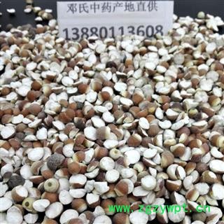 芡实 芡实 10厘 统货 产地 广东省图2