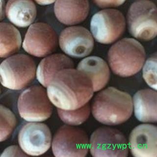 芡实 精选芡实个 产地 广东省图2