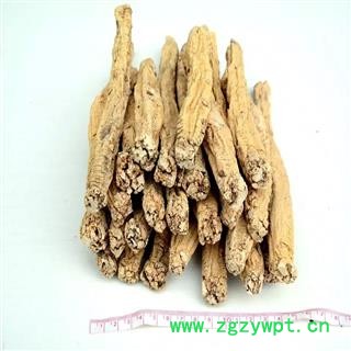 党参 老参王 产地 甘肃省陇南市文县图3