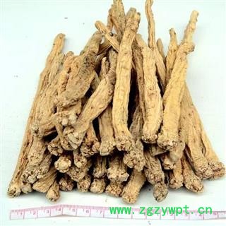 党参 老参王 产地 甘肃省陇南市文县图2