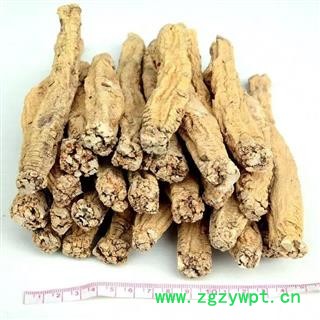 党参 老参王 产地 甘肃省陇南市文县图4