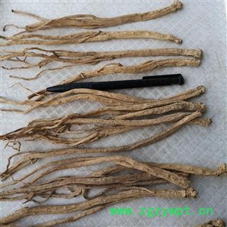 党参 党参中条 产地 甘肃省陇南市图3