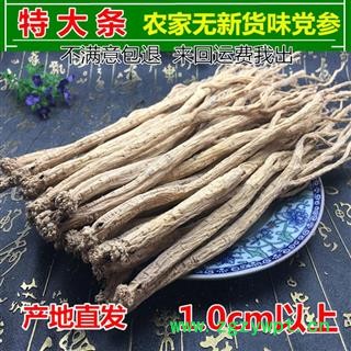 党参 党参特大条1.0以上特级大党参 产地批发甘肃省陇南市宕昌县图2