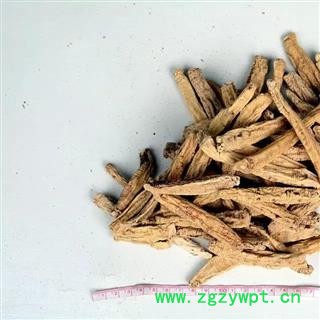 纹党参 二节 产地 甘肃省陇南市文县顺映牌纹党参图2