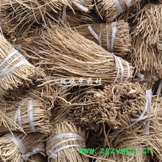 党参苗批发 原产地发货现挖现卖党参种苗图2