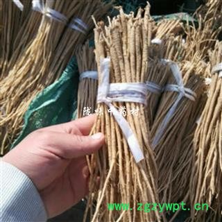 党参苗批发 原产地发货现挖现卖党参种苗图3