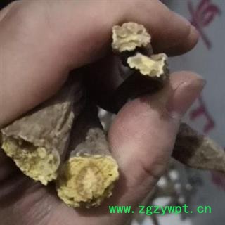 【包邮】党参 野生党参中条 手刨采摘 正宗野生党参【良心经营 品种齐全】图2