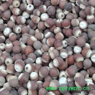 芡实 芡实0.7 产地 广东省肇庆市 买好药找娟子 专业批发图2