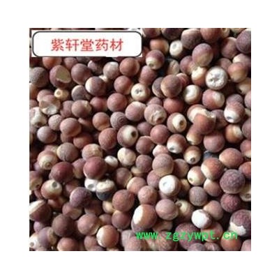 芡实 芡实个子 颗粒饱满  产地 广东省