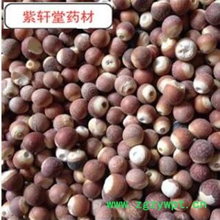 芡实 芡实个子 颗粒饱满  产地 广东省图2