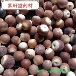 芡实 芡实个子 颗粒饱满  产地 广东省图3