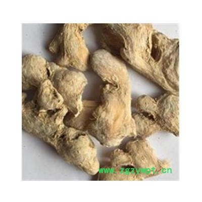 干姜 粉姜一级个 产地 山东省济南市市辖区