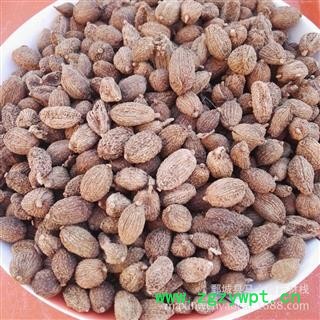圆果砂仁 进口壳砂仁选货 产地 云南省西双版纳傣族自治州图3