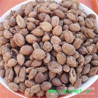 圆果砂仁 进口壳砂仁选货 产地 云南省西双版纳傣族自治州