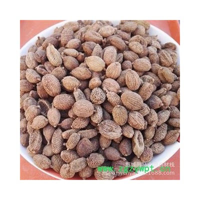 圆果砂仁 进口壳砂仁选货 产地 云南省西双版纳傣族自治州