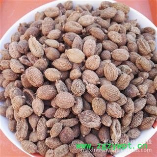 圆果砂仁 进口壳砂仁选货 产地 云南省西双版纳傣族自治州图4