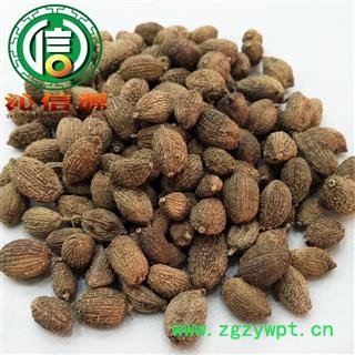 【满包邮】壳砂仁个子统货散装云南产地直供云南砂仁米沁信源中药批发图2