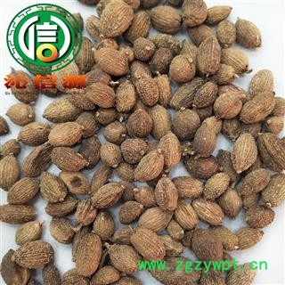 【满包邮】壳砂仁个子统货散装云南产地直供云南砂仁米沁信源中药批发图4